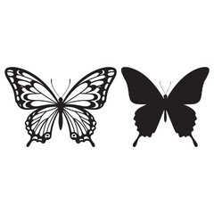 butterfly vector illustration