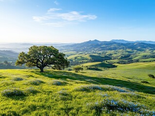 Fototapeta premium Breathtaking landscape view of lush green hills and a lone tree under clear blue sky in nature's serenity