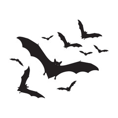 silhouette of a seagull