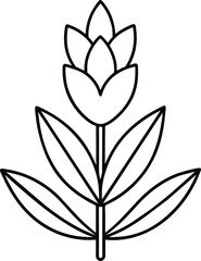 Simple Line Art Flower Botanical Design
