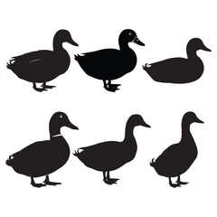 set of duck silhouettes