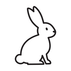 white rabbit on a white background