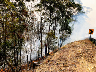 Climate change and the Australian black summer bushfires