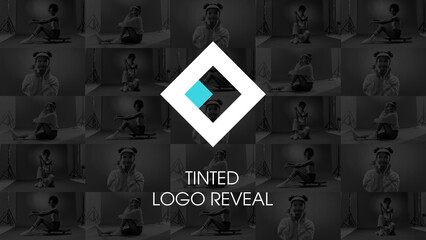 Tinted Logo Slideshow