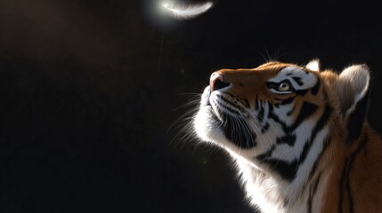 Obraz premium A majestic tiger gazes upwards, captivated by a shimmering feather. This image showcases wildlife beauty and elegance in a dramatic and artistic style. Perfect for nature lovers. AI