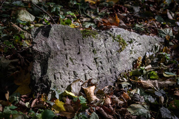 Ancient Gravestone with Hebrew Inscription — Sunlit Scene of History and Memory in Cemetery