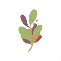 leaf,set,colors high resolution vector botanical collection for eco products nature branding social media designs and web marketing assets fresh foliage themes