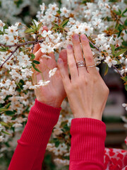 Beautiful female hands with cherry blossoms