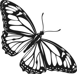 a-stylized-depiction-of-a-butterfly-with-a-black