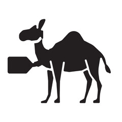 Camel with health tag indicating fit for Qurbani