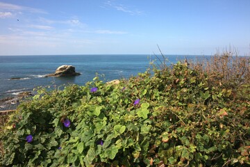 View of the Atlantic Ocean on the coast of Portugal