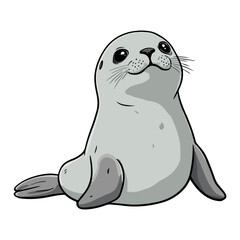 seal, animal, vector, transparent background, isolated, cute, mammal, nature, zoo, wildlife, marine, ocean