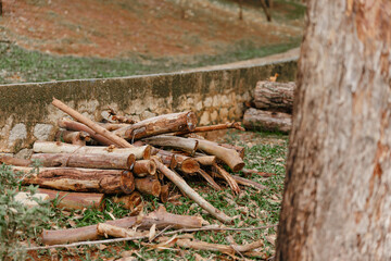 A pile of neatly stacked firewood in a tranquil setting, surrounded by lush greenery and earthy...