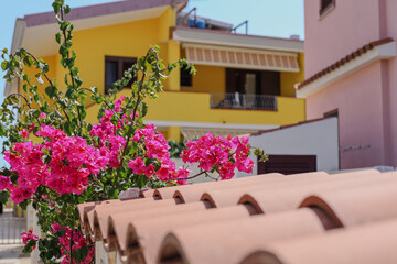 balcony with flowers sardynia italy