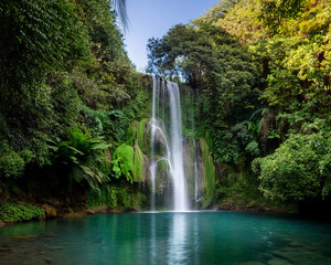 Waterfall in a lush tropical forest with flowing water and vibrant green trees