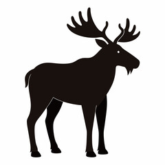 Obraz premium Moose with white background 