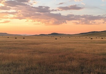 Obraz premium A photograph of an expansive field at sunset, with golden-brown grass and distant bales of hay, under the warm glow of orange clouds in the sky