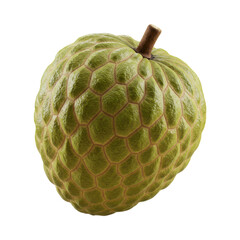 Atemoya Fruit, A Delicious and Exotic Tropical Delicacy with Unique Textured Skin