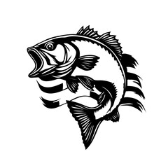 bass fish vector 