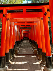 Vermilion torii gates in Kyoto, Japan