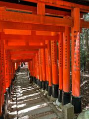 Vermilion torii gates in Kyoto, Japan