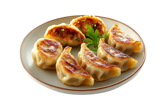Plate of gyoza dumplings isolated on a transparent background.