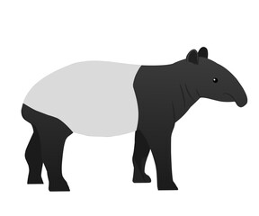Cool tapir vector illustration in flat style. Suitable for your various design needs.