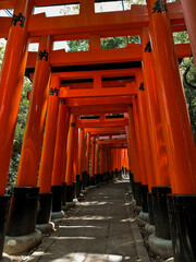 Vermilion torii gates in Kyoto, Japan