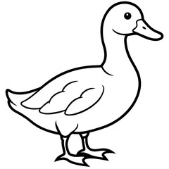 duck