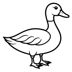 duck
