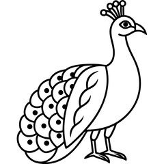 peacock