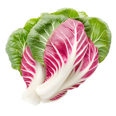 Obraz premium Radicchio and chard vibrant red and green leaves fresh vegetable harvest