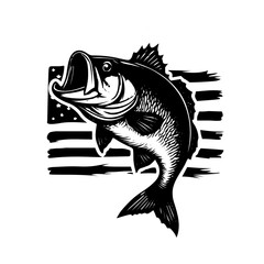 bass fish vector 