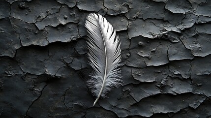 lost and found symbolic single feather lying on cracked stone soft diffused light gentle breeze implied peaceful solitude