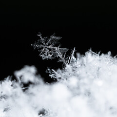 Beautiful snowflakes creating a winter wonderland with intricate frozen ice crystals on a dark...