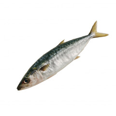 Naklejka premium Mackerel fish on a white isolated background, showing its unique features and colors, perfect for culinary themes, nutrition discussions, or seafood presentations.