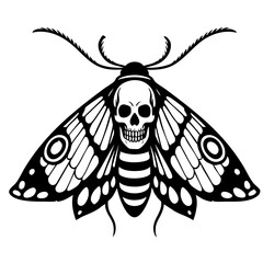 Moth Skull