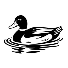 Duck on Water