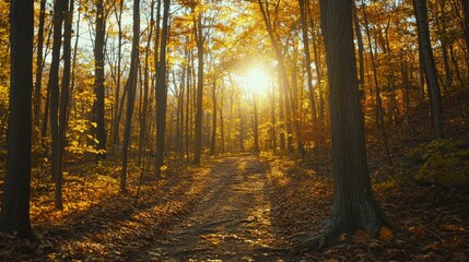 Obraz premium A beautifully styled meat pie with a flaky crust and pastry lattice top, placed on a rustic ceramic plate with soft natural light