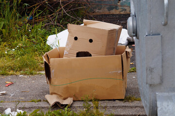 The cardboard box