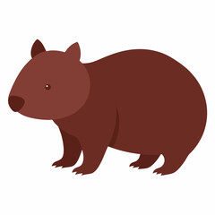 Obraz premium Wombat with white background 