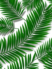 Naklejka premium Seamless pattern of green palm leaves on white background, tropical design element