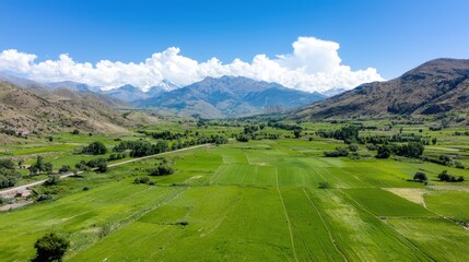 Andean Valley Farmland Aerial View, Peru