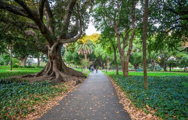 Scenic Pathway in Hyde Park Surrounded by Lush Greenery and Beautiful Trees, Perth, Australia, 12...