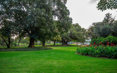 Serene Landscape Featuring Lush Trees and Colorful Flower Beds in Hyde Park, Perth, Australia, 12 April 2020