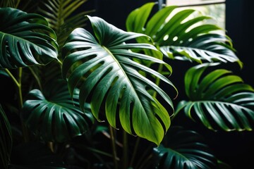 A close-up shot of a plant with a window visible in the background, suitable for use in interior design or nature-themed projects