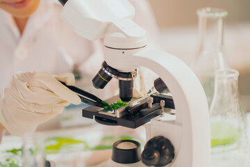 scientist in laboratory