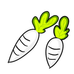 carrot vector illustration