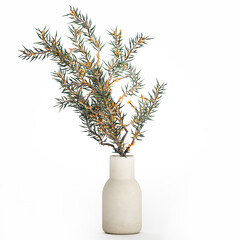 3D illustration Small Minimalistic Bouquet Vase Olive Branches isolated on white background