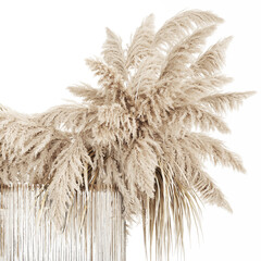 3D illustration Floral white bouquet of dried flowers with branches of cortaderia pampas
